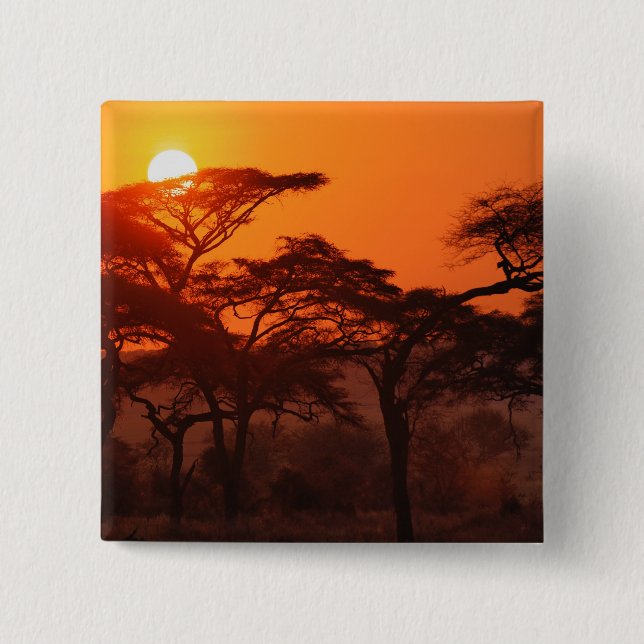 Acacia forest silhouetted at sunset, Tarangire Pinback Button (Front)