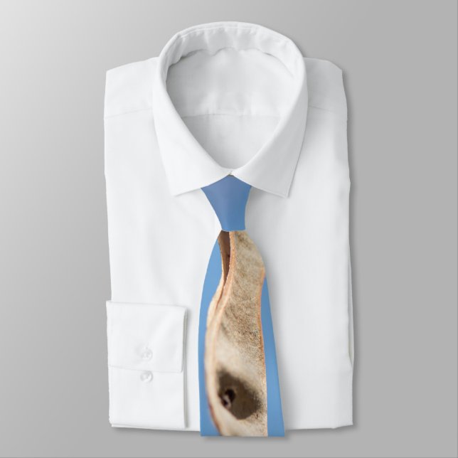 Acacia’s seeds neck tie (Tied)