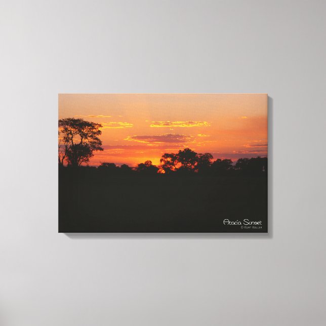 Acacia Sunset Canvas Print (Front)