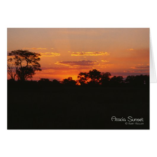 Acacia Sunset Cards (Front Horizontal)