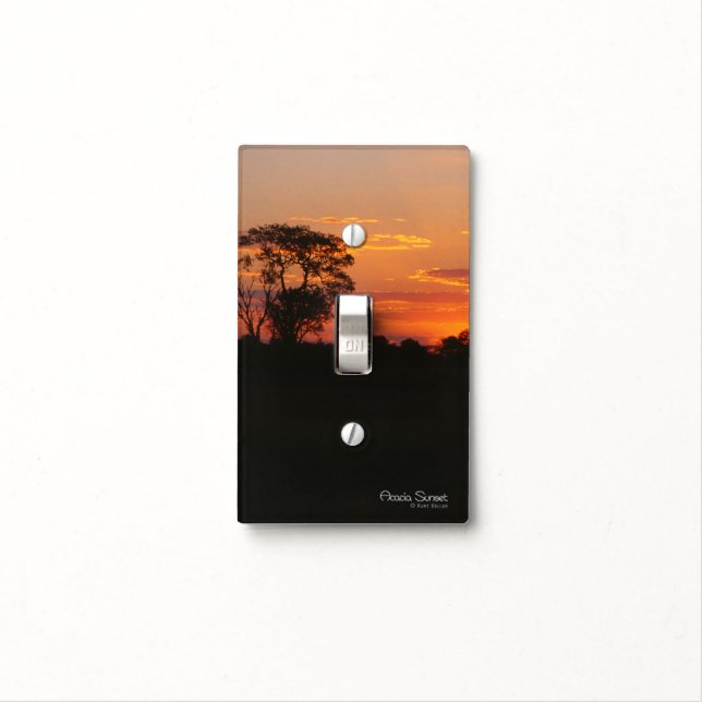 Acacia Sunset Light Switch Cover (In Situ)