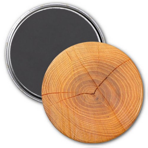 Acacia Tree Cross Section Large Round Magnet