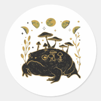 Academia Moon Witchy Goblincore Aesthetic Frog Cla Classic Round Sticker
