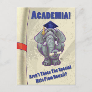 Academia Scroll Postcard