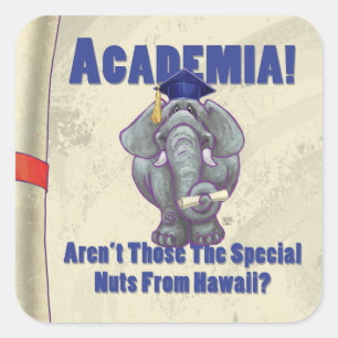 Academia Scroll Square Sticker