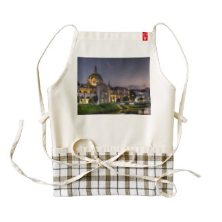 Academy of Fine Arts, Sarajevo, Bosnia and Herzego Zazzle HEART Apron