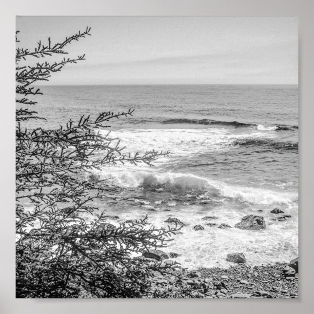 Acadia Maine Coastline Black and White Archival Poster (Front)
