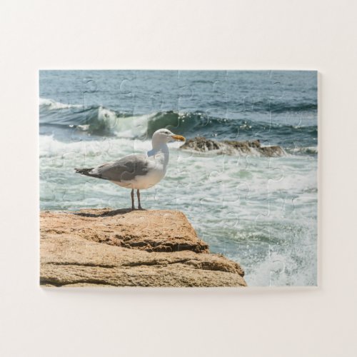 Acadia Maine Ocean Seagull Oversized Jigsaw Puzzle