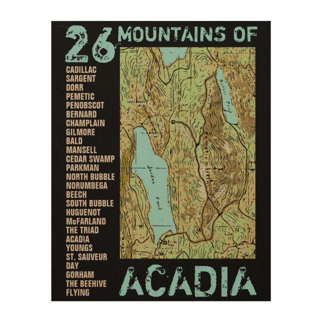 ACADIA MAP WOOD WALL ART (Front)