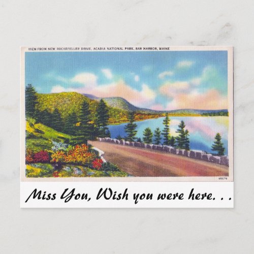 Acadia Nat Park Bar Harbor Maine Postcard