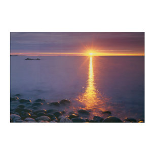 Acadia National Park Atlantic Ocean Maine Acrylic Print