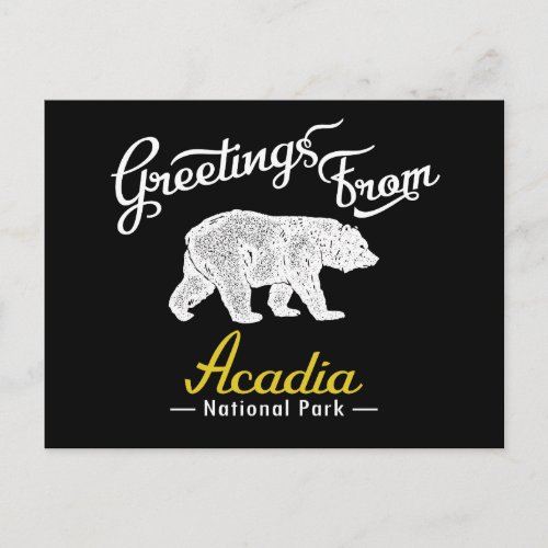 Acadia National Park Bear Postcard