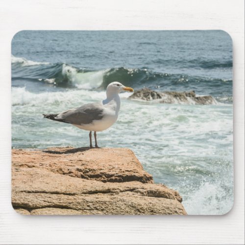 Acadia National Park Maine Coast Seagull Mouse Pad