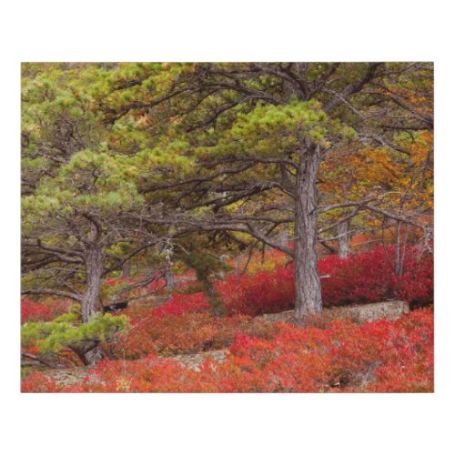 Acadia National Park Maine Faux Canvas Print
