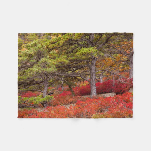 Acadia National Park, Maine Fleece Blanket (Front (Horizontal))