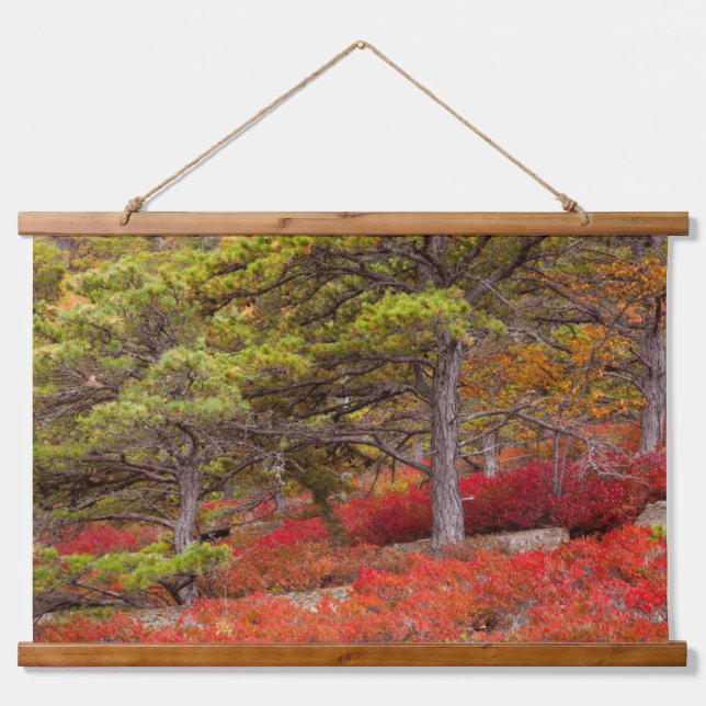 Acadia National Park, Maine Hanging Tapestry (Front)