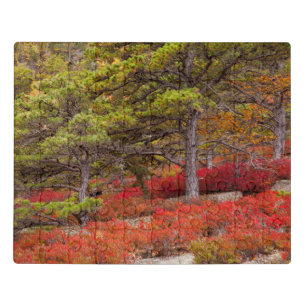 Acadia National Park, Maine Jigsaw Puzzle
