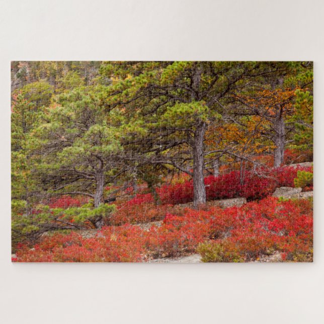 Acadia National Park, Maine Jigsaw Puzzle (Horizontal)