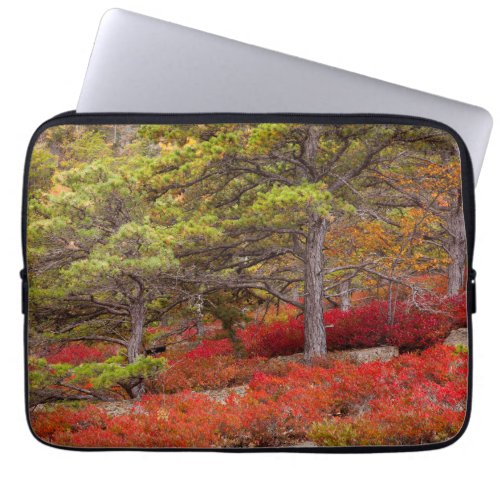 Acadia National Park Maine Laptop Sleeve