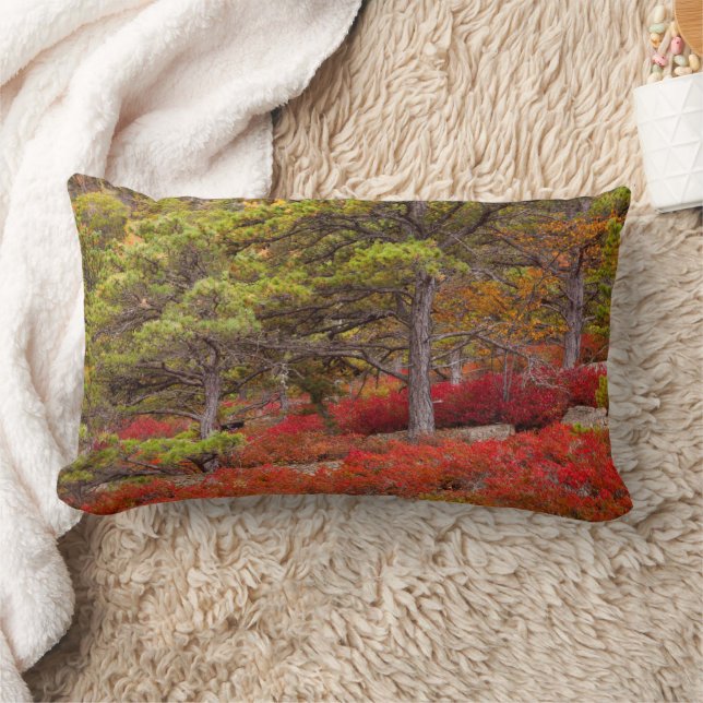 Acadia National Park, Maine Lumbar Pillow (Blanket)