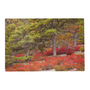 Acadia National Park, Maine Placemat