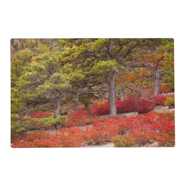 Acadia National Park, Maine Placemat (Front)