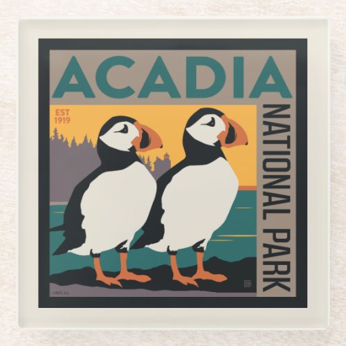 Acadia National Park Maine  Puffins Glass Coaster
