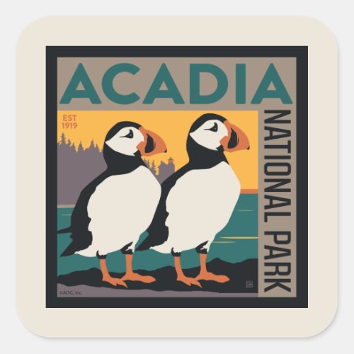 Acadia National Park Maine  Puffins Square Sticker