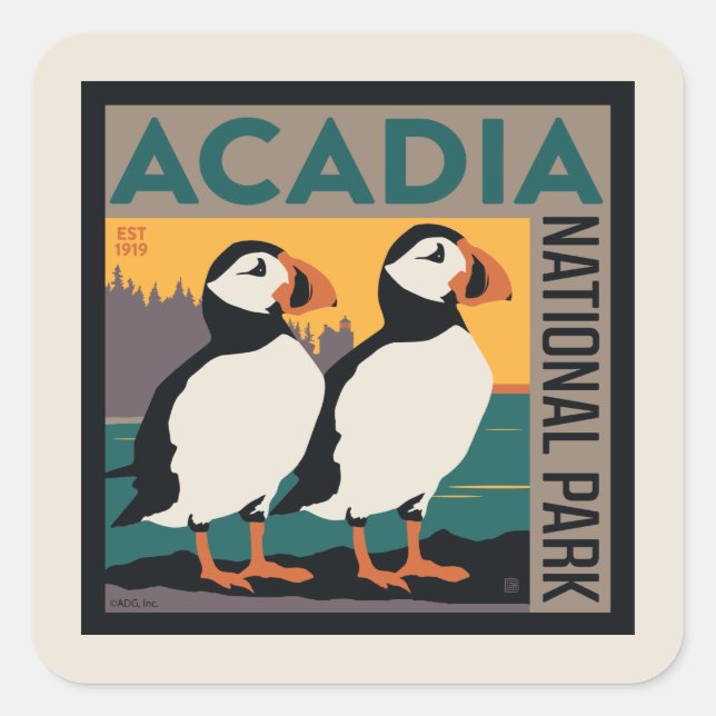 Acadia National Park, Maine | Puffins Square Sticker (Front)