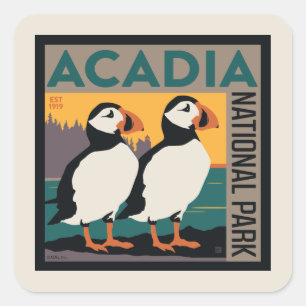 Acadia National Park, Maine Puffins Square Sticker