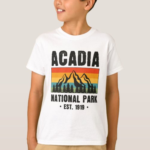 Acadia National Park Maine Retro Vintage T_Shirt