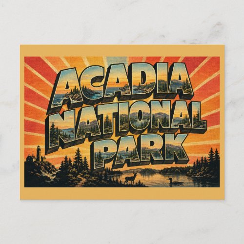 Acadia National Park Maine Rocky Coastline Lakes Postcard