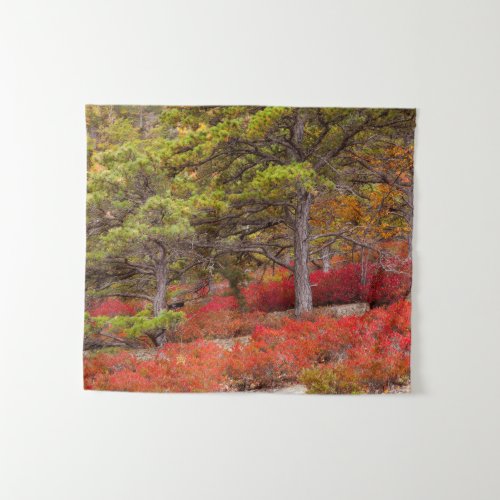 Acadia National Park Maine Tapestry