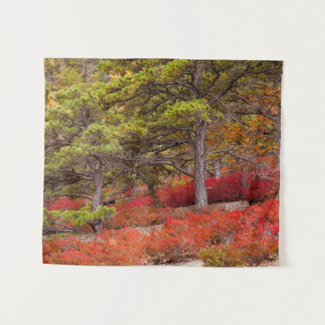 Acadia National Park, Maine Tapestry (Front (Horizontal))