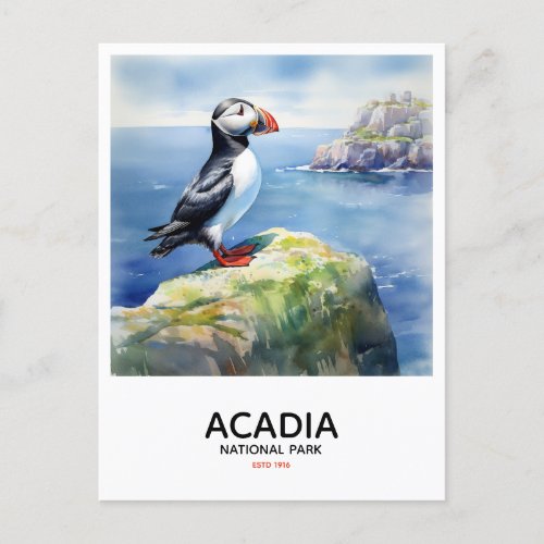 Acadia National Park _ Perched Puffin Postcard