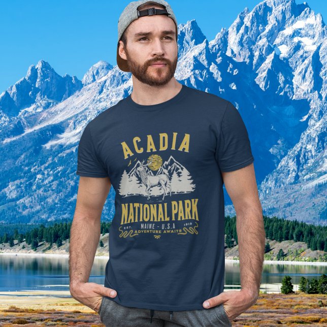 Acadia National Park Vintage Landscape T-Shirt (Creator Uploaded)