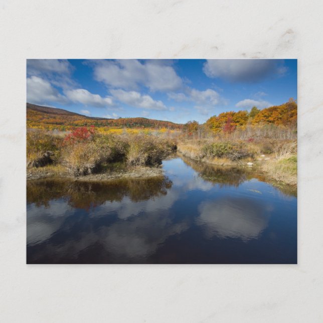 Acadia NP: autumn colors, reflections Postcard (Front)