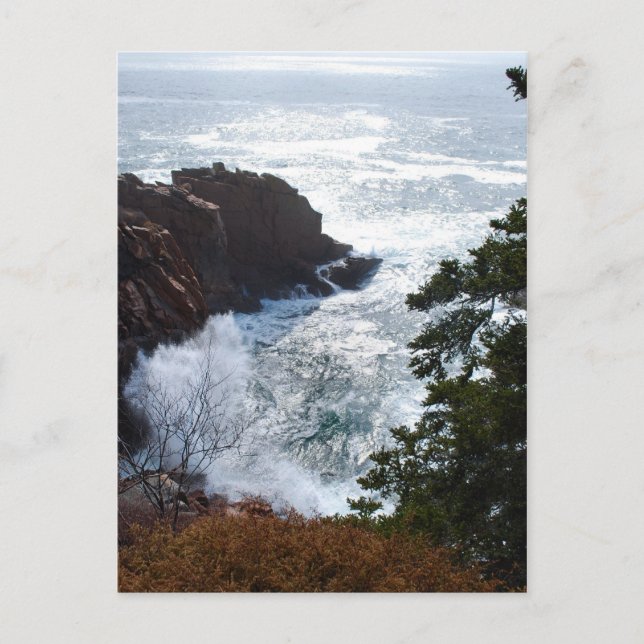 Acadia Postcard - 5 (Front)