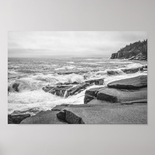 Acadia Rocky Coastline in Maine Black and White Poster