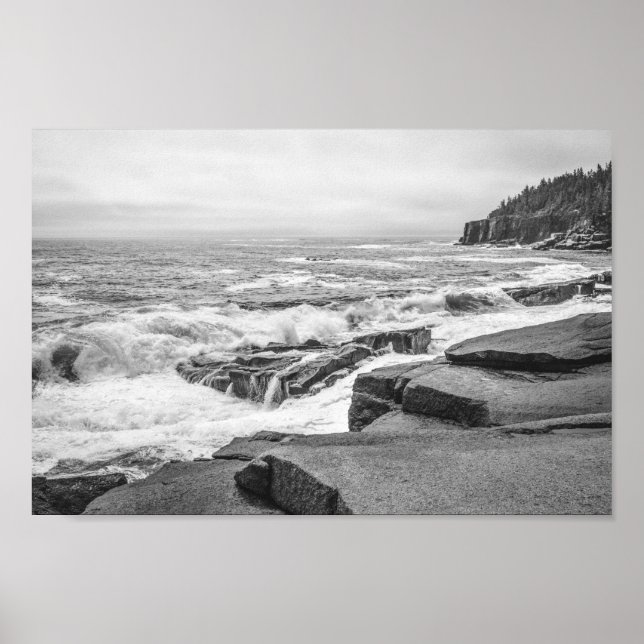 Acadia Rocky Coastline in Maine Black and White Poster (Front)