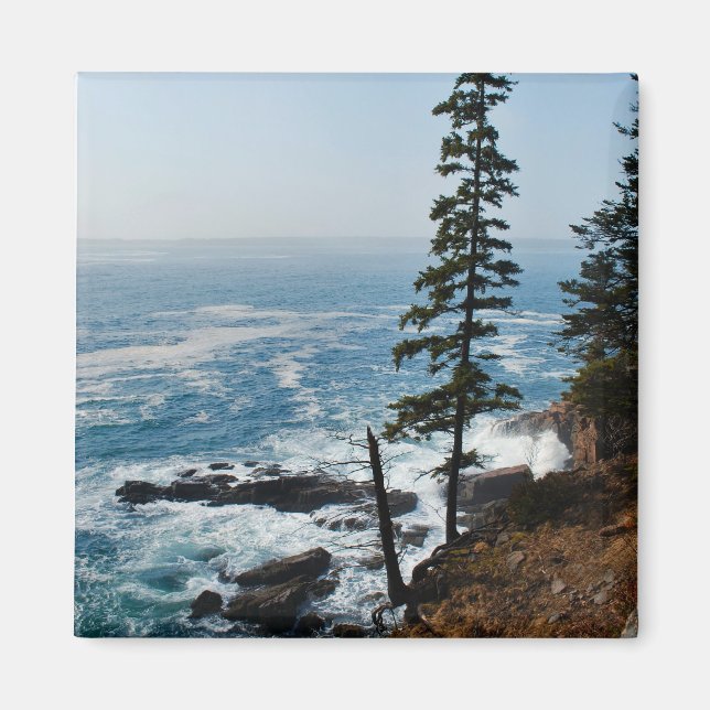 Acadia Shore Magnet - 1 (Front)