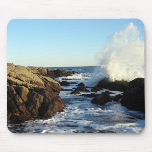 Acadia Shoreline Mousepad