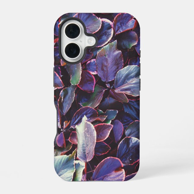 Acalypha Wilkesiana iPhone Case (Back)