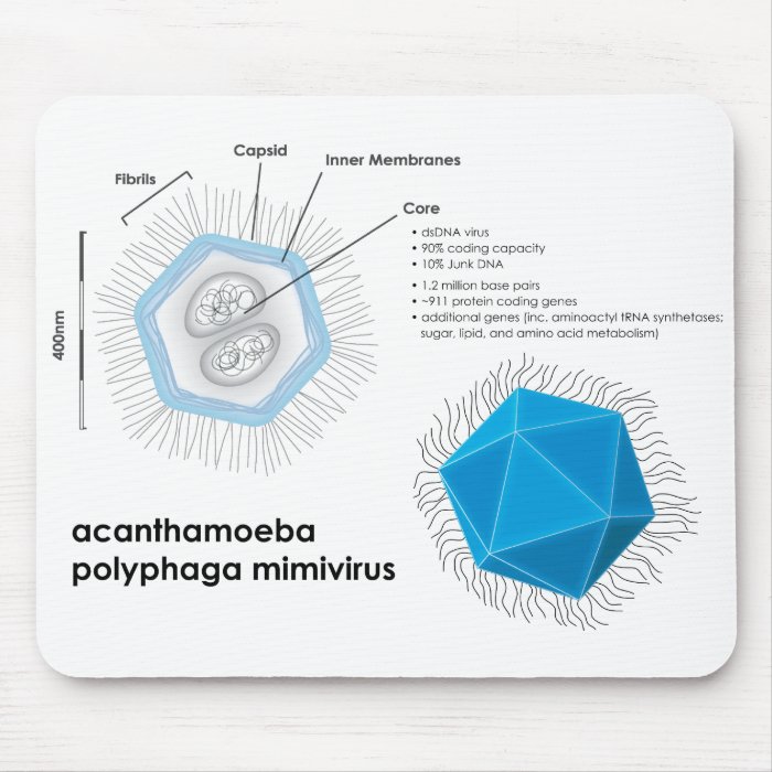 Acanthamoeba polyphaga mimivirus APMV Diagram Mousepads