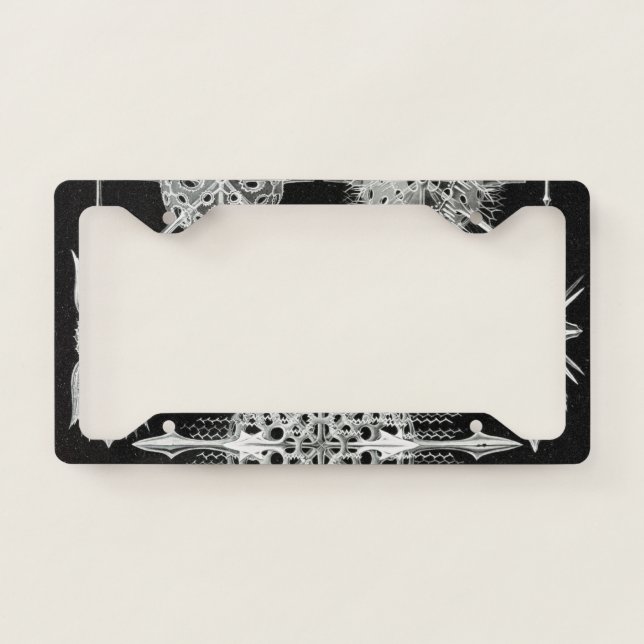 Acanthophracta, Wunderstrahlinge Aquatic Animal License Plate Frame (Front)