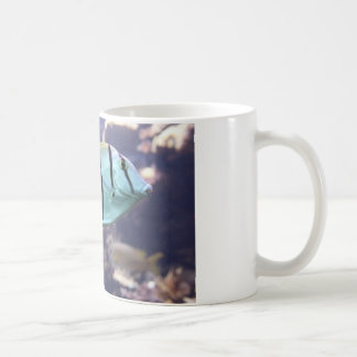 Acanthurus triostegus coffee mug