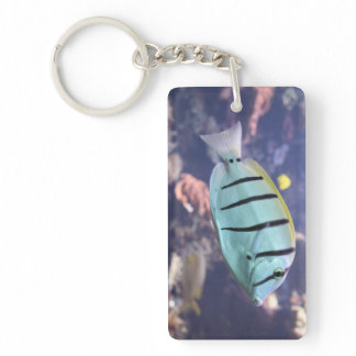 Acanthurus triostegus keychain