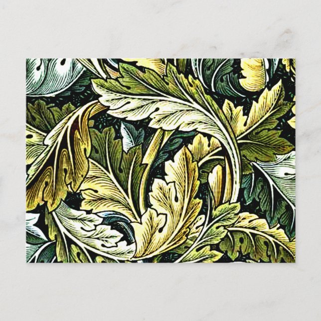 Acanthus, popular William Morris pattern,  Postcard (Front)