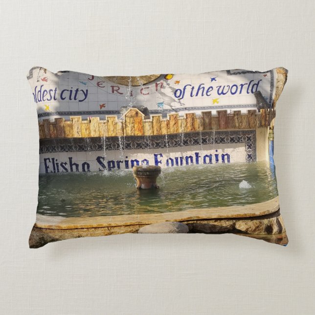 Accent Kussen Pillow (Front)