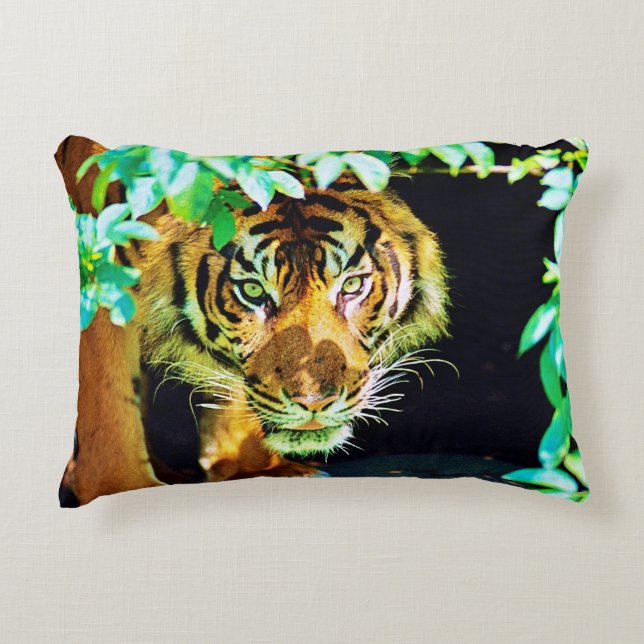 Accent Pillow (Front)